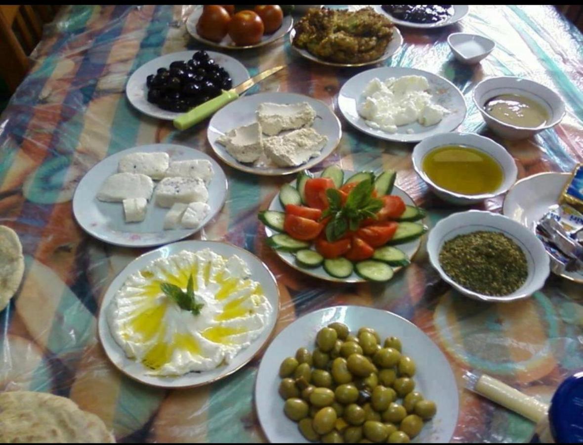 瓦迪拉姆 Bedouin Adventure & Tours酒店 外观 照片