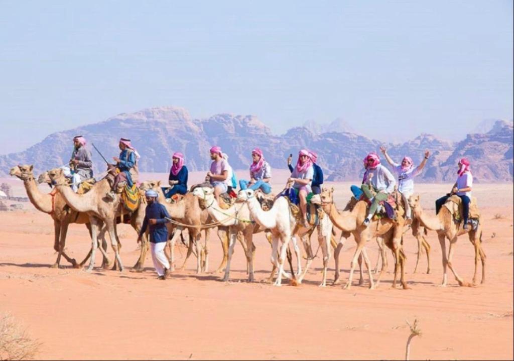 瓦迪拉姆 Bedouin Adventure & Tours酒店 外观 照片